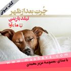 چرت بعد از ظهر