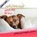 چرت بعد از ظهر بخش 1